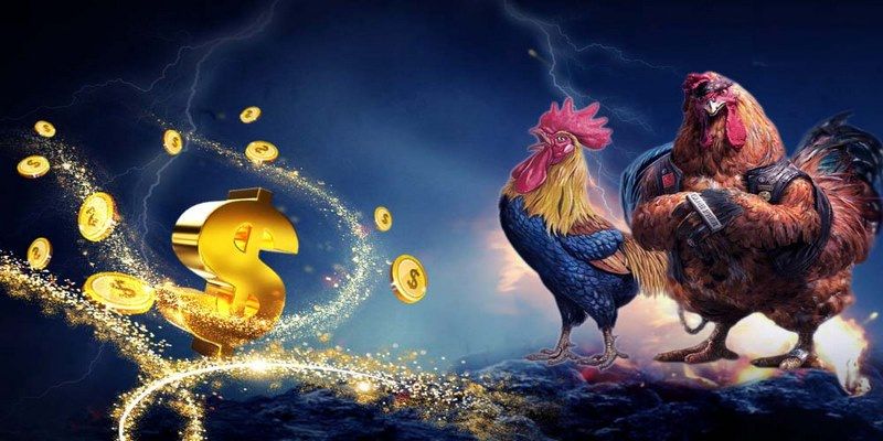 Hướng dẫn quy trình tham gia chơi đá gà tại nhà cái Fb68 